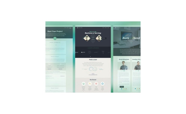 dribbble_002