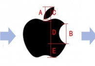 黄金分割的金苹果——浅谈apple设计中的黄金分割
