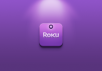 Roku iPhone应用手机界面设计
