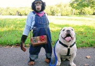 如何让开发人员按照UI标注还原设计?