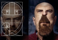 斐波那契螺旋线-赏析黄金比例的实际应用