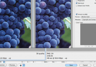 移动应用程序图片格式:PNG还是JPEG
